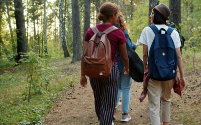 El camino de la Pascua.