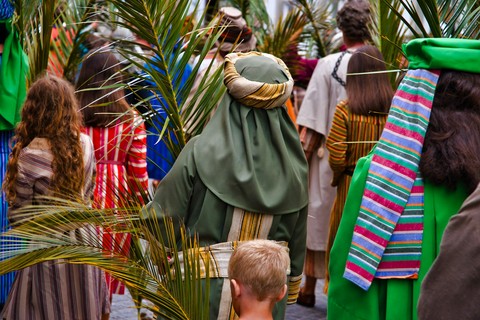 Domigo de Ramos 2026