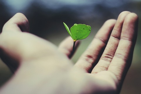 Todos los difuntos 2025